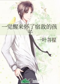 一覺醒來懷了宿敵的孩子